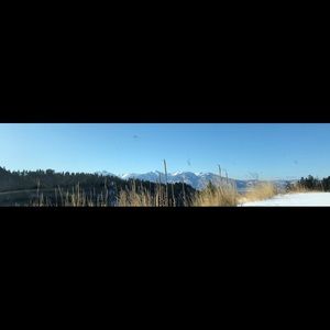 Meet your Posher, Josie